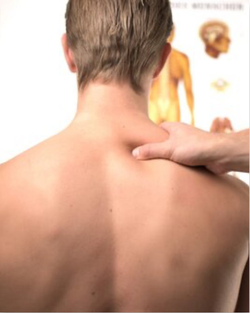 Neck and Back Pain