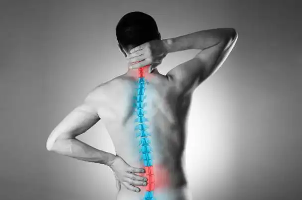 What Role Does Nutrition Help Prevent in Managing Neck & Lower Back Pain? Insights from a Doctor