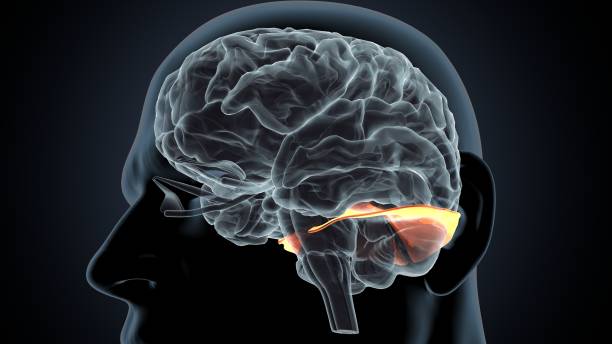 neurological-conditions